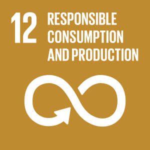 UN SDG 12 - Responsible consumption and production