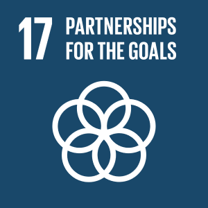 UN SDG 17 - Partnerships for the Goals